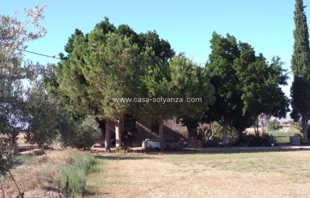 Resale - Country Property/Finca - Callosa de Segura - Inland