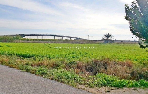 Resale - Country Property/Finca - Callosa de Segura - Inland