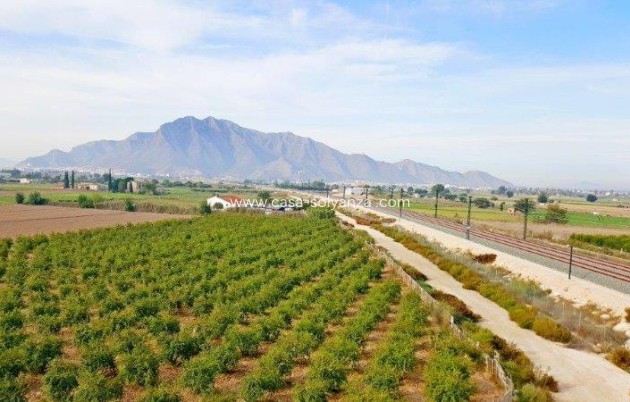Resale - Country Property/Finca - Callosa de Segura - Inland
