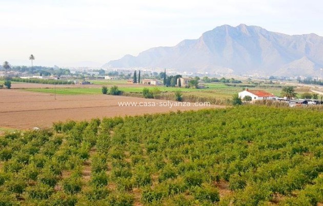 Resale - Country Property/Finca - Callosa de Segura - Inland