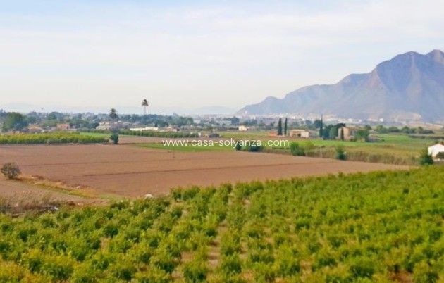 Resale - Country Property/Finca - Callosa de Segura - Inland