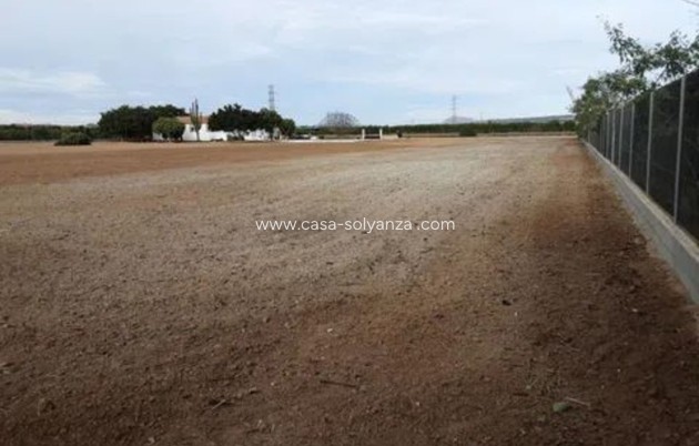 Revente - Villa - San Miguel de Salinas - Inland