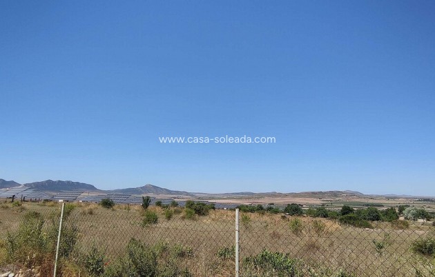 Resale - Country Property/Finca - Yecla - Inland