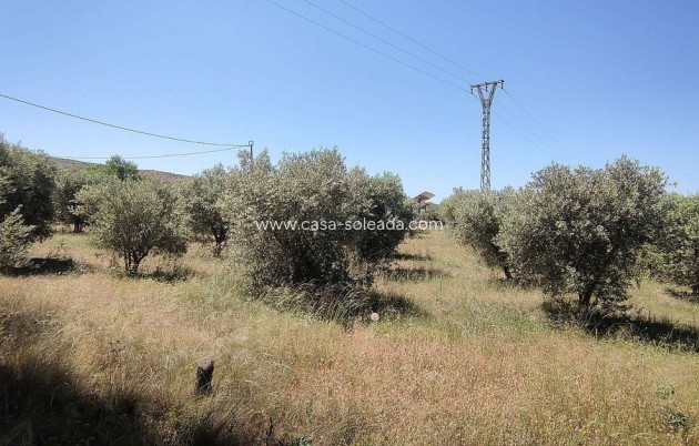 Resale - Country Property/Finca - Yecla - Inland