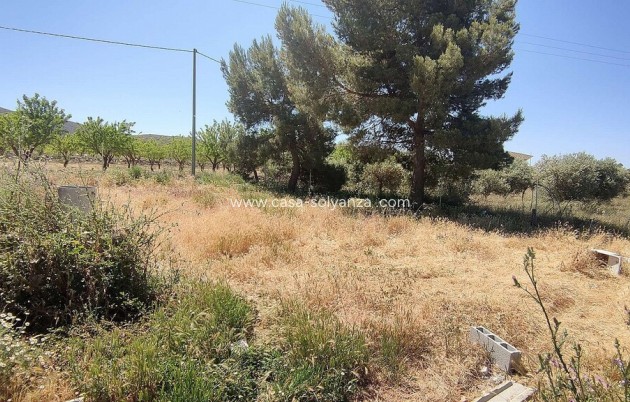 Resale - Country Property/Finca - Yecla - Inland