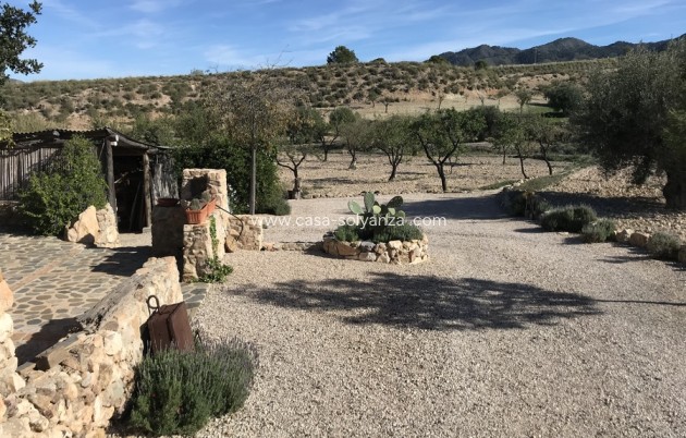 Resale - Country Property/Finca - Lorca - Costa Calida
