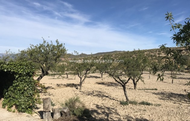 Resale - Country Property/Finca - Lorca - Costa Calida