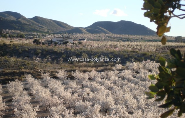Resale - Country Property/Finca - Lorca - Costa Calida