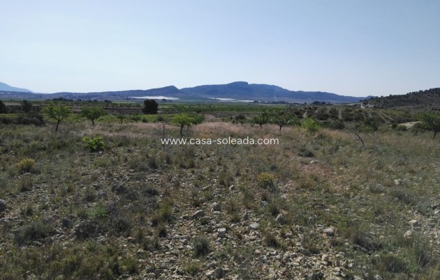 Revente - Villa - Monóvar - Inland