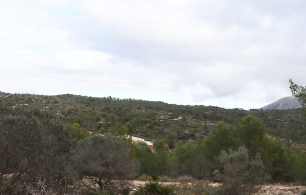 Wiederverkauf - Land - Jalón - Inland