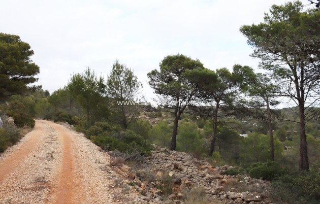 Wiederverkauf - Land - Jalón - Inland