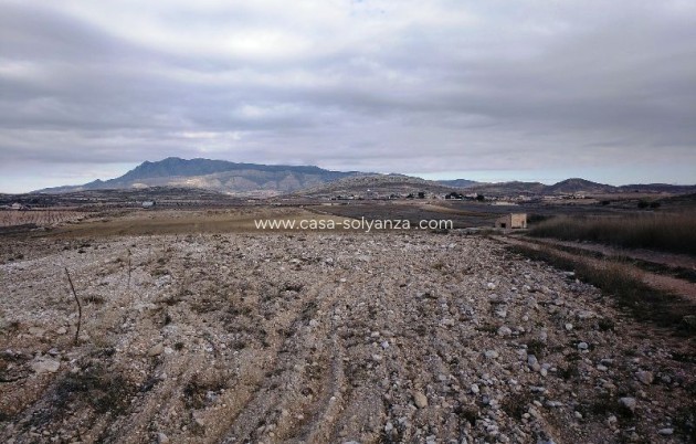Resale - Land - Torre Del Rico - Inland