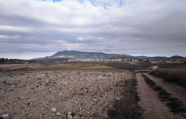 Resale - Land - Torre Del Rico - Inland
