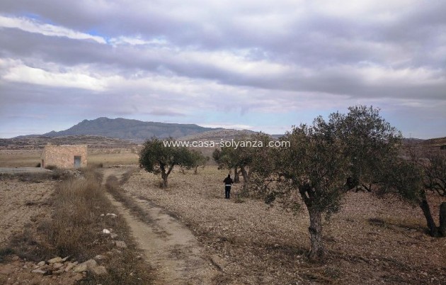 Resale - Land - Torre Del Rico - Inland