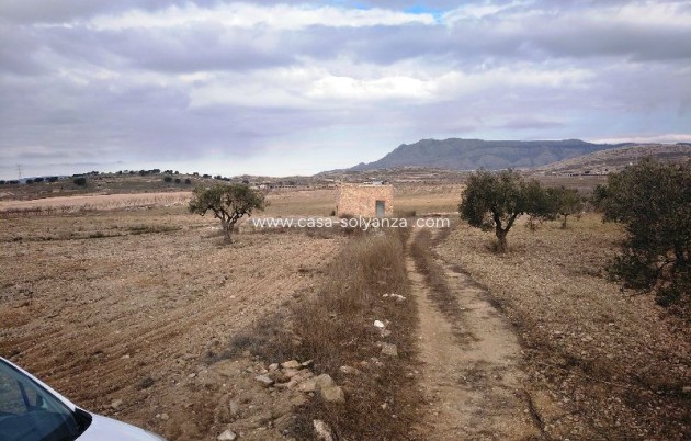 Resale - Land - Torre Del Rico - Inland