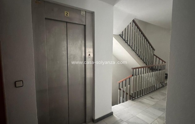 Reventa - Apartamento / piso - Orihuela - Zona Centro