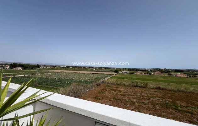 Reventa - Apartamento / piso - Dolores - Comunidad Valenciana