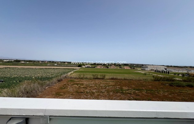 Reventa - Apartamento / piso - Dolores - Comunidad Valenciana