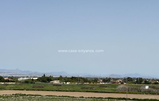 Reventa - Apartamento / piso - Dolores - Comunidad Valenciana