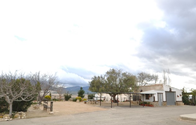 Revente - Country Property/Finca - Jumilla - Inland