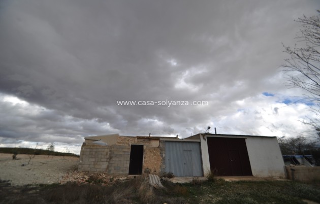 Revente - Country Property/Finca - Jumilla - Inland