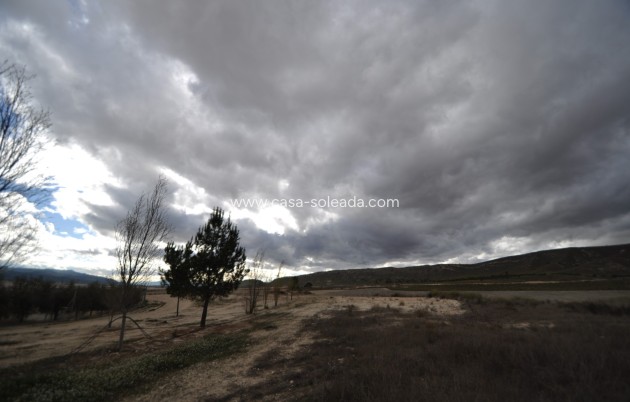 Revente - Country Property/Finca - Jumilla - Inland