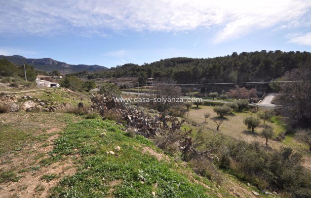 Wiederverkauf - Country Property/Finca - La Zarza - Inland