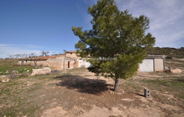 Wiederverkauf - Country Property/Finca - La Zarza - Inland