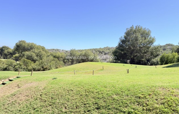 Reventa - Apartamento / piso - Las Ramblas - Inland