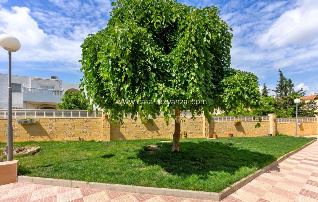 Reventa - Apartamento / piso - Torrevieja - El chaparral