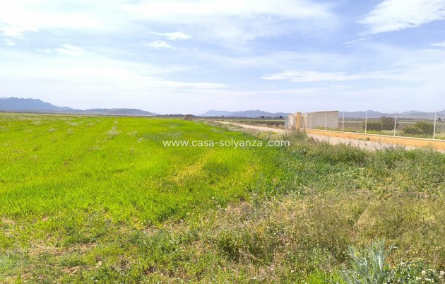 Reventa - Country Property/Finca - Yecla - Inland