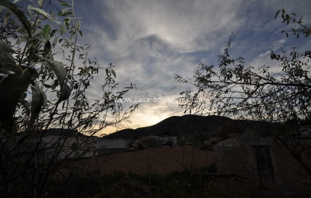 Reventa - Adosado - Hondón de las Nieves - Inland