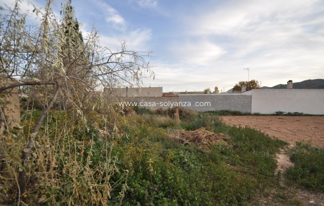 Reventa - Adosado - Hondón de las Nieves - Inland