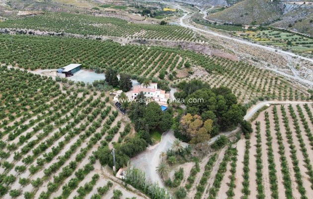 Herverkoop - Olivar - Puerto Lumbreras - Nogalte