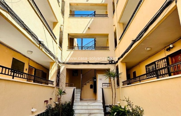Reventa - Apartamento / piso - Torrevieja - El chaparral