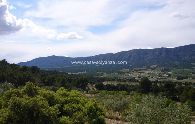 Resale - Country Property/Finca - Salinas - Inland