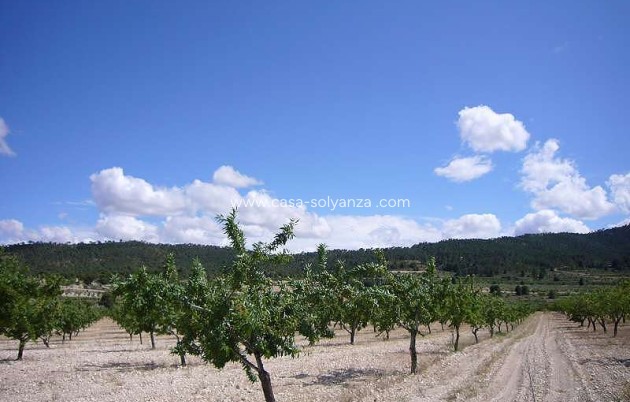 Resale - Country Property/Finca - Salinas - Inland
