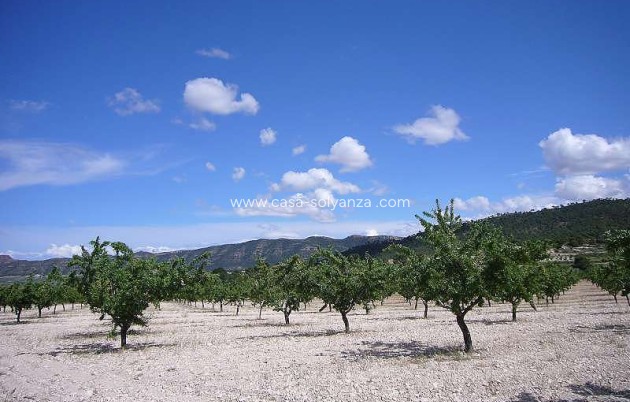 Resale - Country Property/Finca - Salinas - Inland