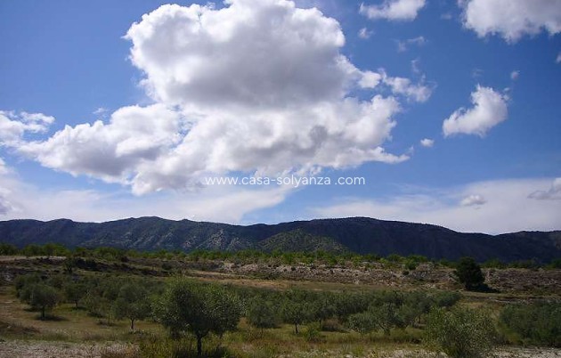 Resale - Country Property/Finca - Salinas - Inland