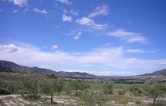 Resale - Country Property/Finca - Salinas - Inland