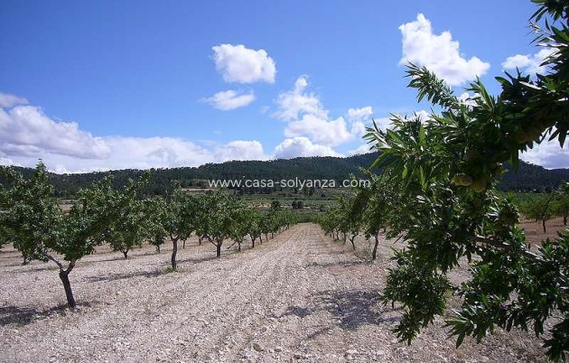 Resale - Country Property/Finca - Salinas - Inland
