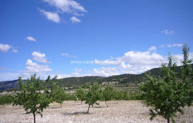 Resale - Country Property/Finca - Salinas - Inland