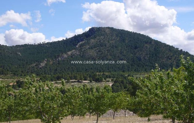 Resale - Country Property/Finca - Salinas - Inland