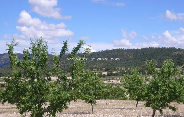 Resale - Country Property/Finca - Salinas - Inland