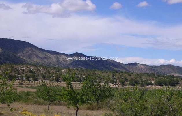 Resale - Country Property/Finca - Salinas - Inland