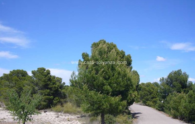 Resale - Country Property/Finca - Salinas - Inland