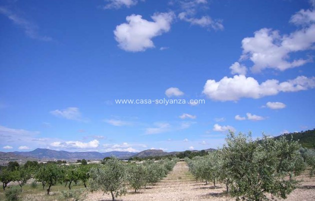 Resale - Country Property/Finca - Salinas - Inland