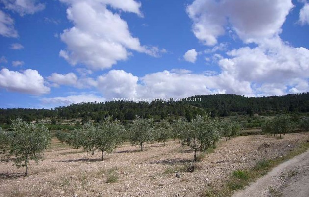 Resale - Country Property/Finca - Salinas - Inland