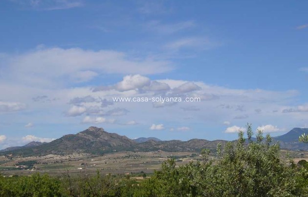 Resale - Country Property/Finca - Salinas - Inland