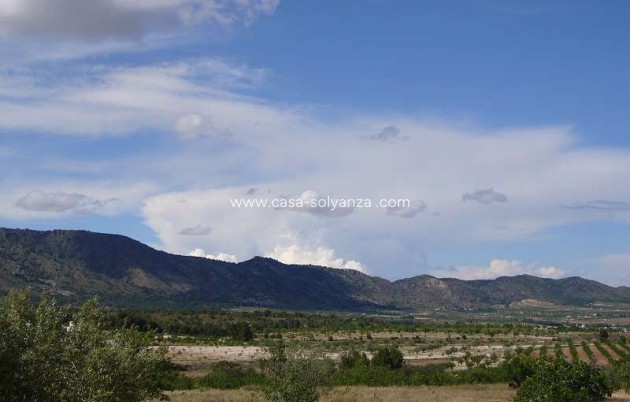 Resale - Country Property/Finca - Salinas - Inland